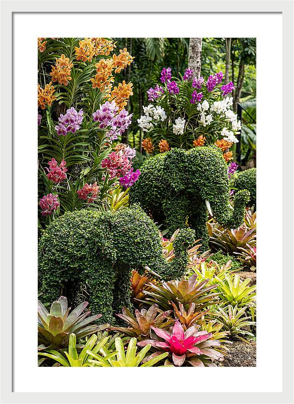 Nong Nooch Elephant Garden