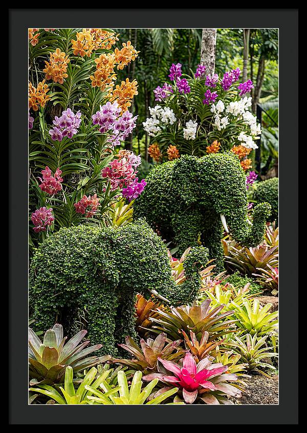 Nong Nooch Elephant Garden