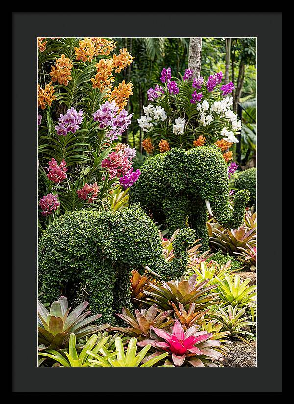 Nong Nooch Elephant Garden