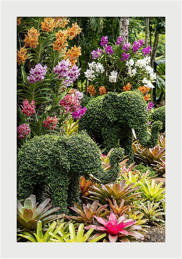 Nong Nooch Elephant Garden