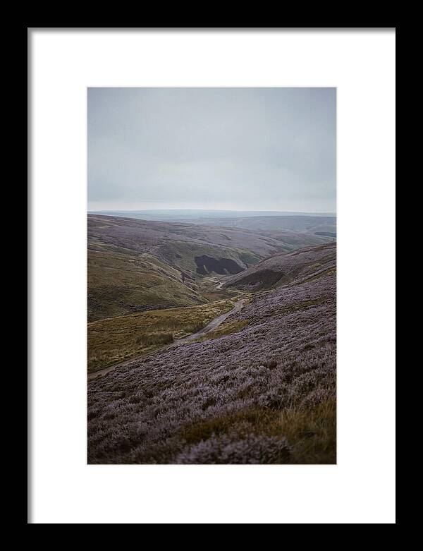 North York Moors In Bloom