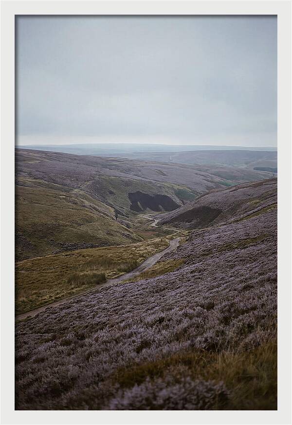 North York Moors In Bloom