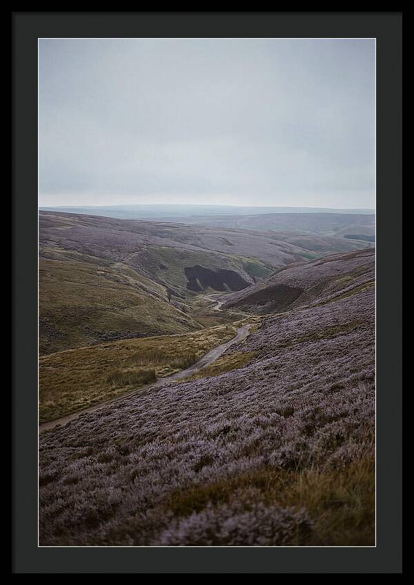 North York Moors In Bloom