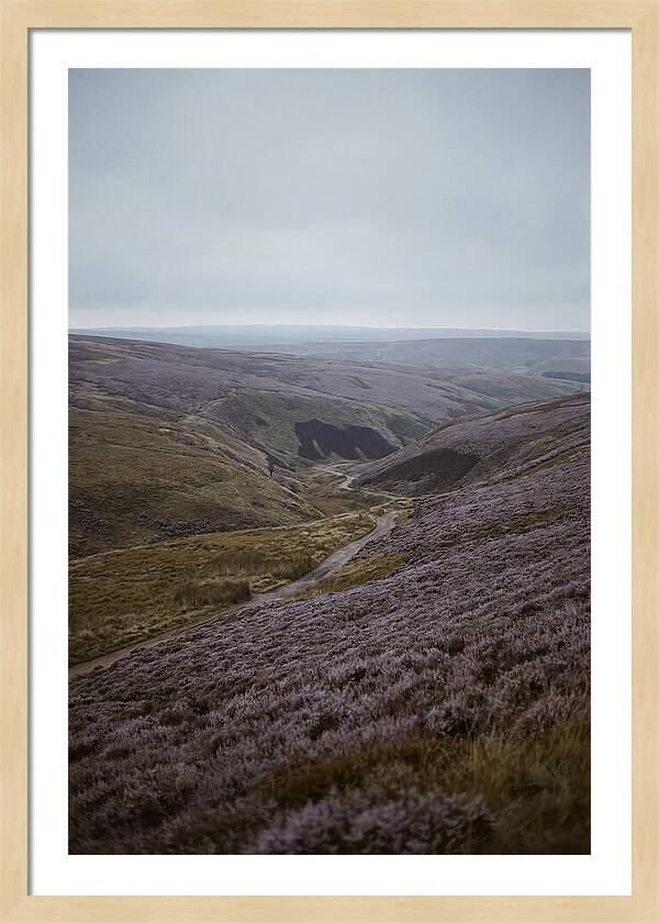 North York Moors In Bloom
