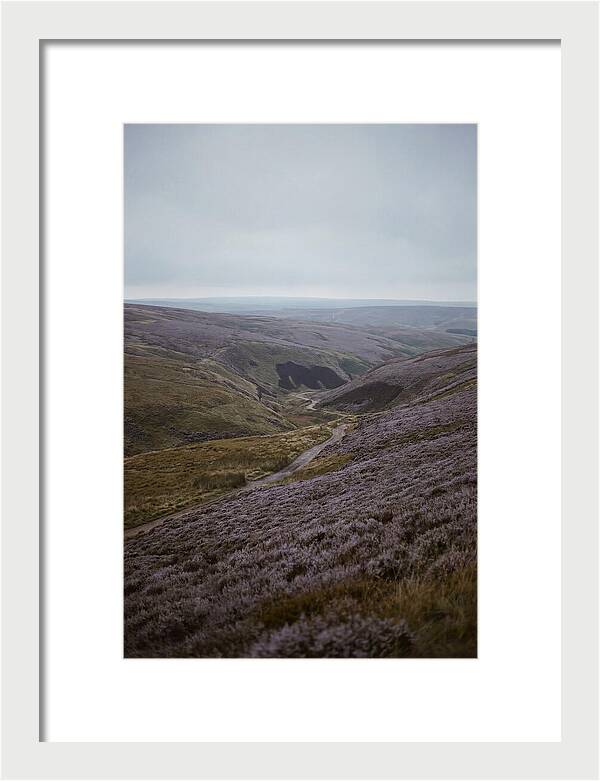North York Moors In Bloom