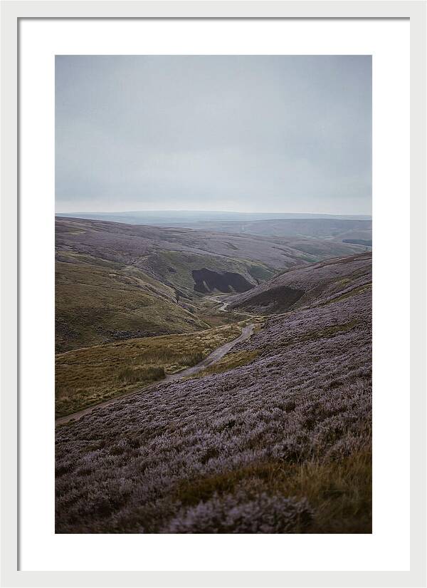 North York Moors In Bloom