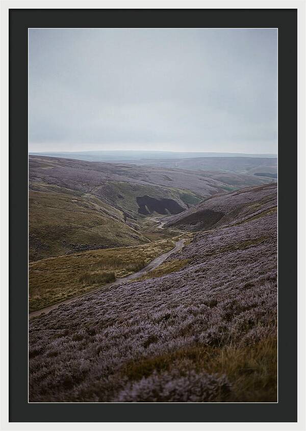 North York Moors In Bloom