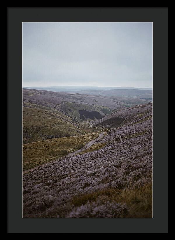 North York Moors In Bloom