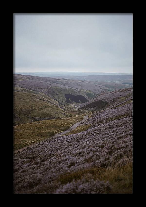 North York Moors In Bloom