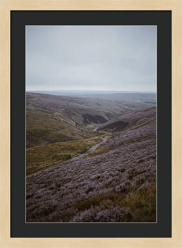 North York Moors In Bloom