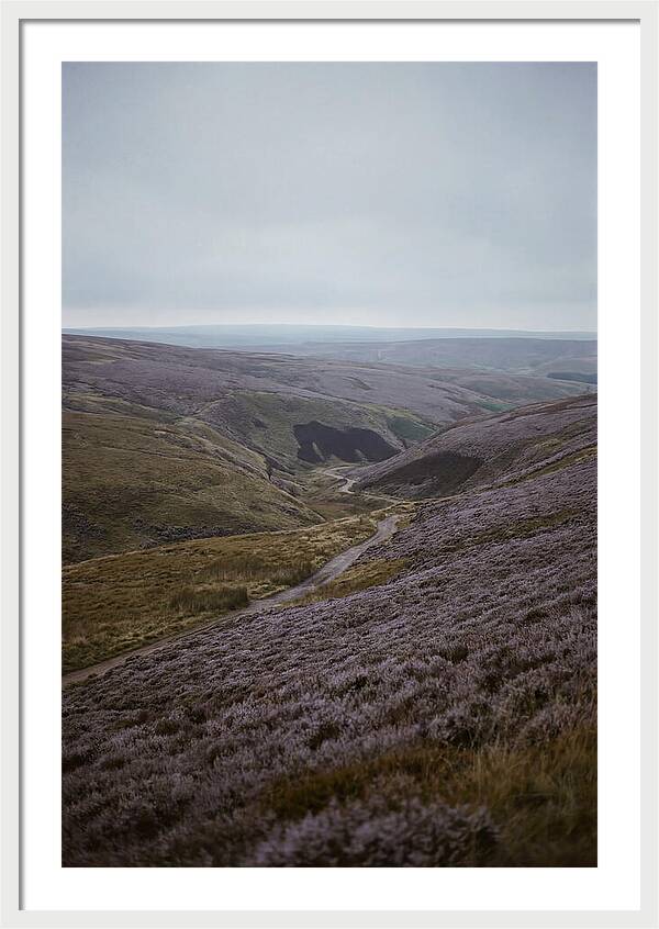 North York Moors In Bloom