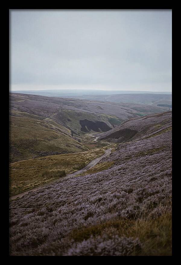 North York Moors In Bloom