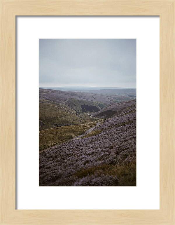 North York Moors In Bloom