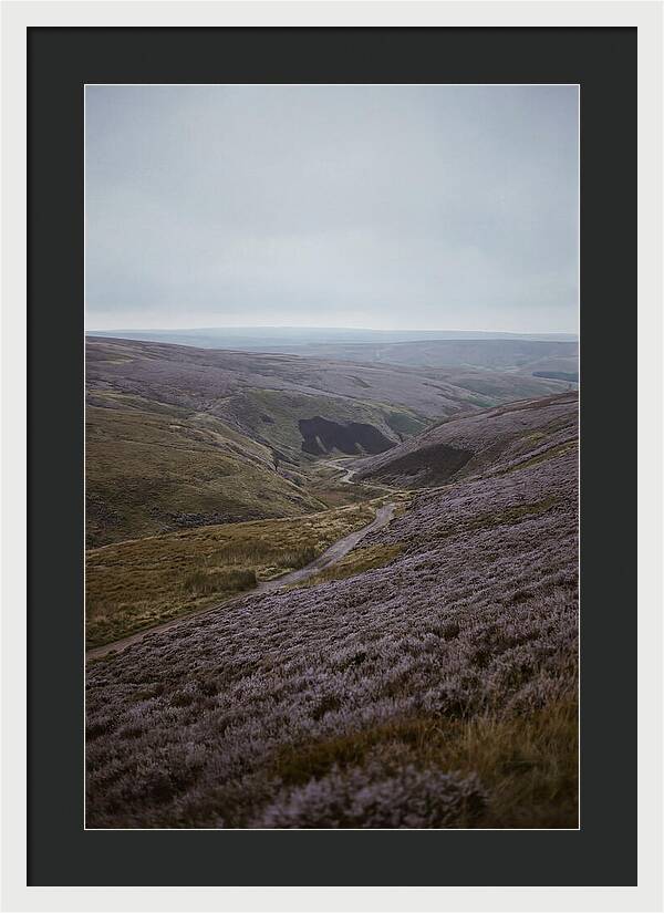 North York Moors In Bloom