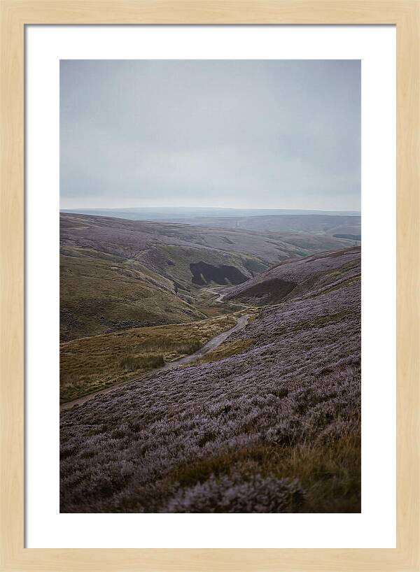 North York Moors In Bloom