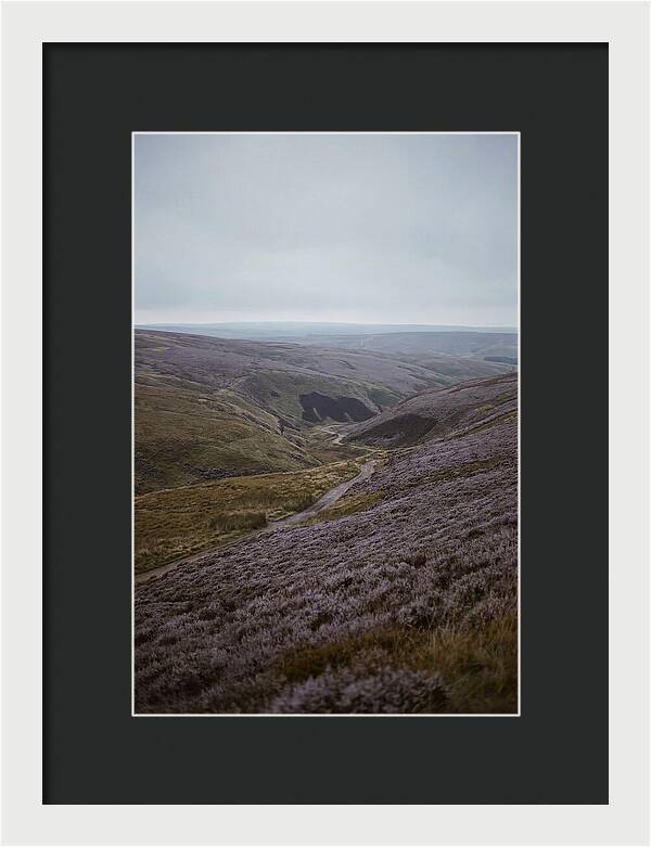 North York Moors In Bloom