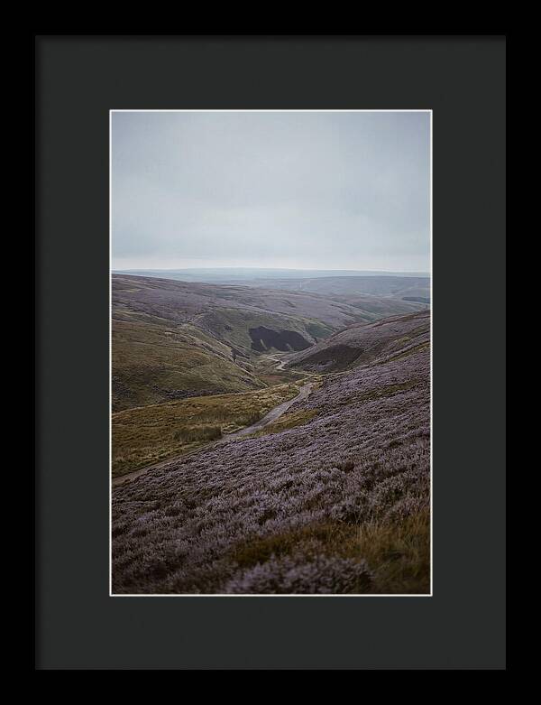 North York Moors In Bloom