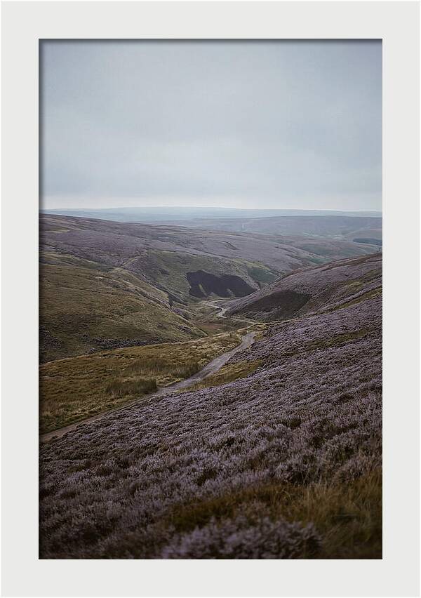 North York Moors In Bloom