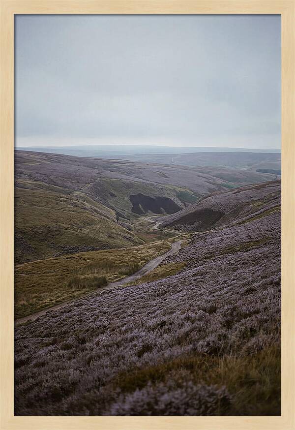 North York Moors In Bloom