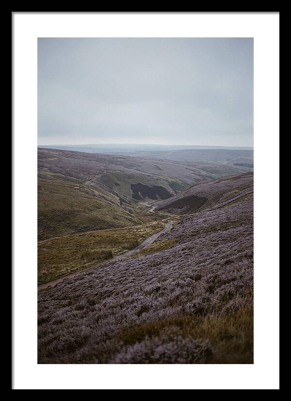 North York Moors In Bloom