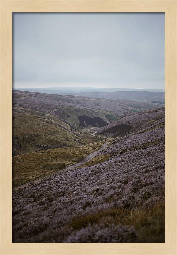 North York Moors In Bloom