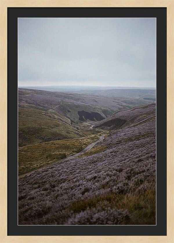 North York Moors In Bloom