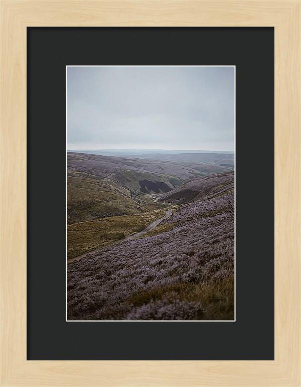 North York Moors In Bloom