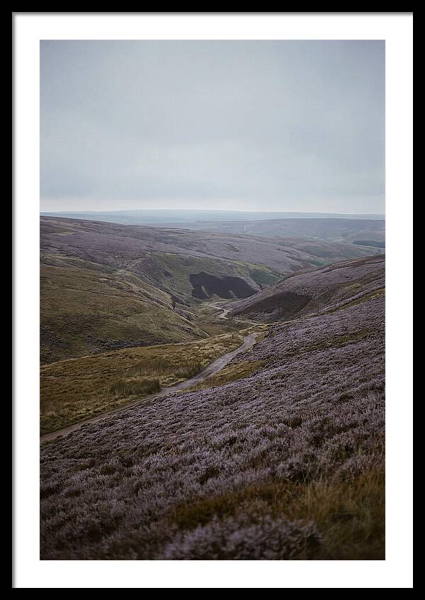 North York Moors In Bloom