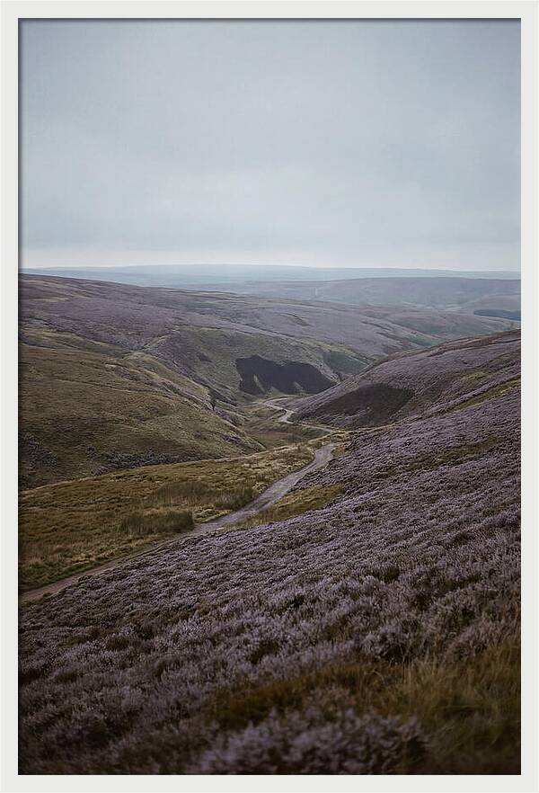 North York Moors In Bloom