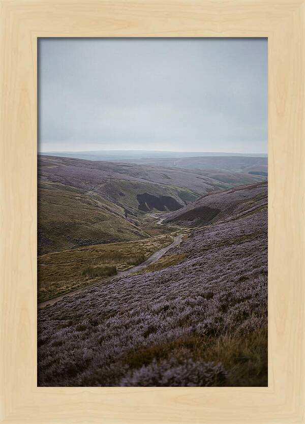 North York Moors In Bloom