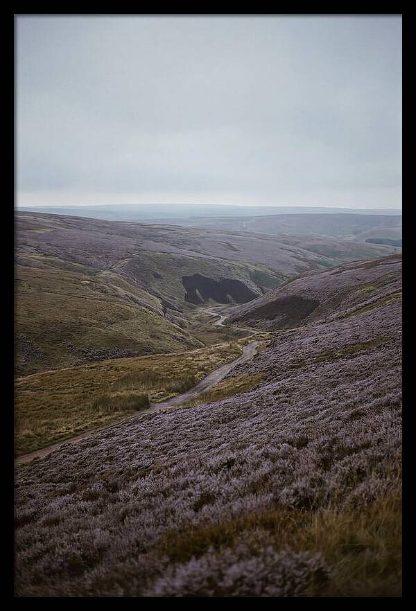 North York Moors In Bloom