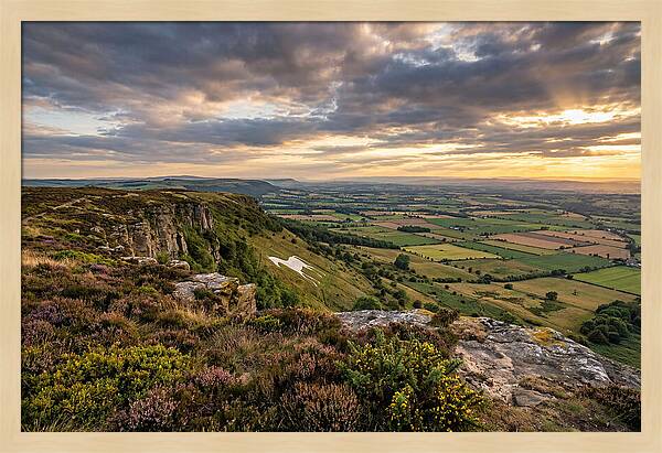 North York Moors Serenity