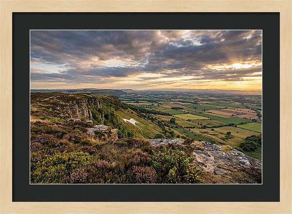 North York Moors Serenity