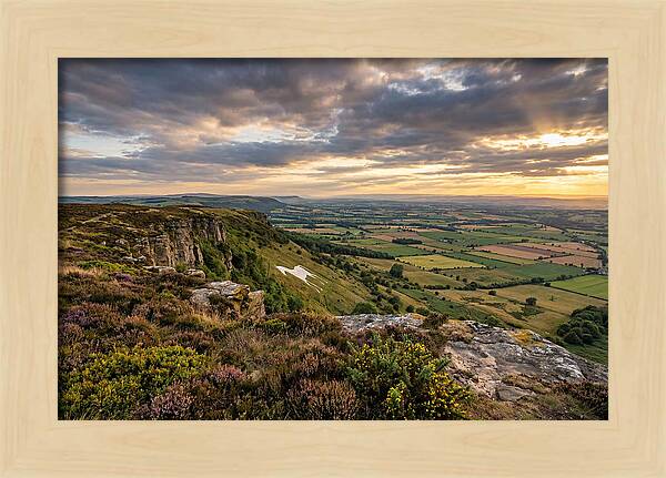North York Moors Serenity