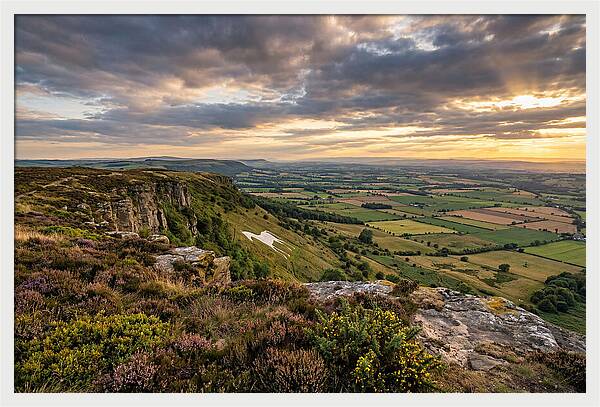 North York Moors Serenity