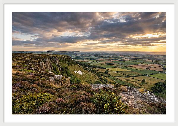 North York Moors Serenity