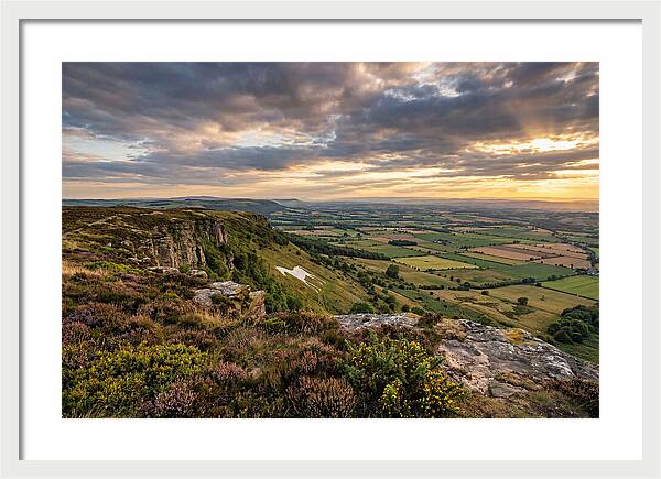 North York Moors Serenity