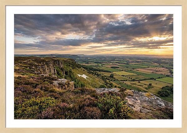 North York Moors Serenity