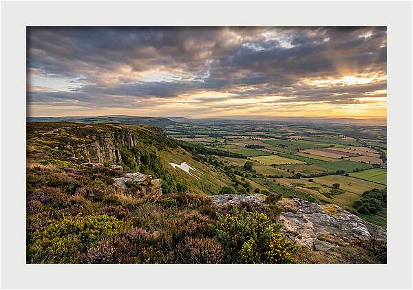 North York Moors Serenity