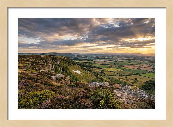 North York Moors Serenity