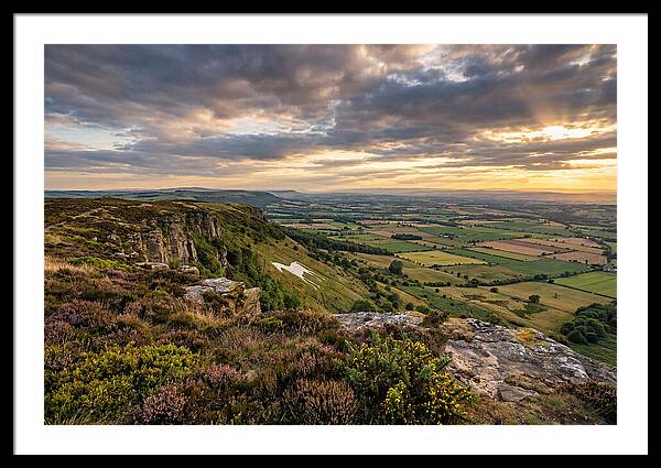 North York Moors Serenity