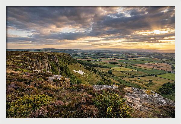 North York Moors Serenity