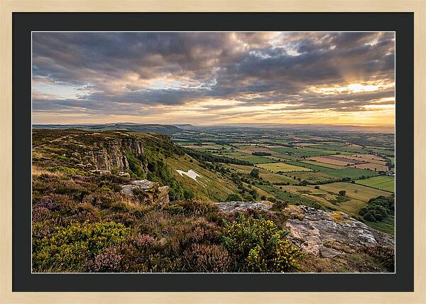 North York Moors Serenity