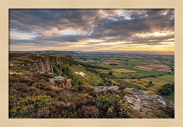 North York Moors Serenity