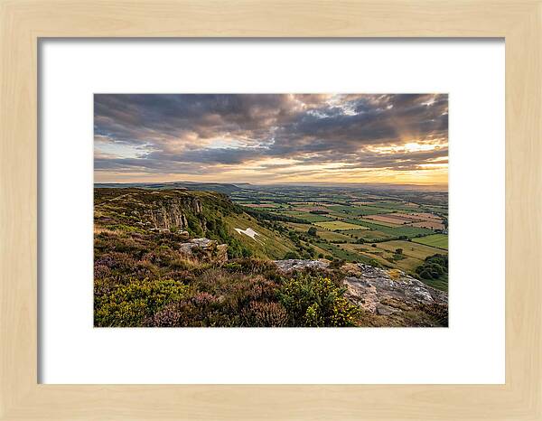 North York Moors Serenity