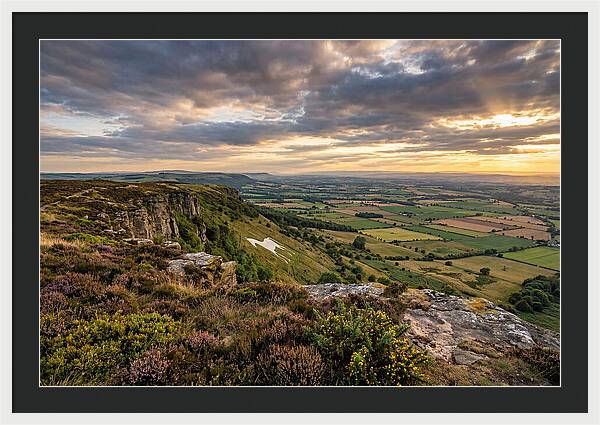 North York Moors Serenity