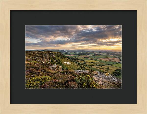 North York Moors Serenity