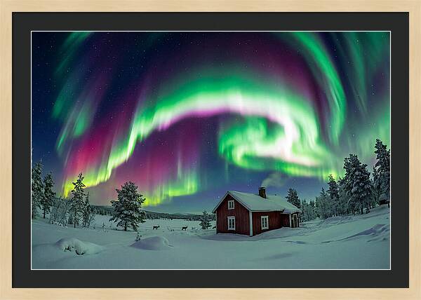 Northern Lights Over Finnish Lapland