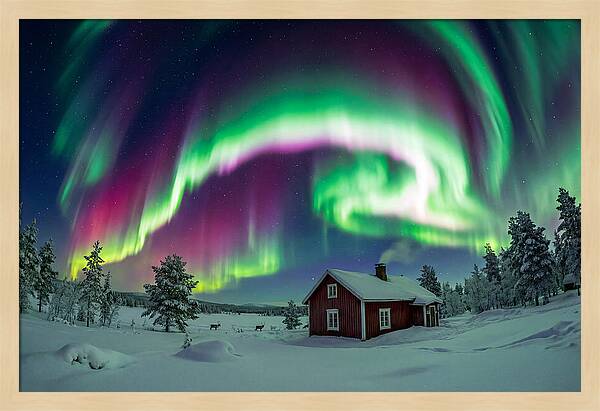Northern Lights Over Finnish Lapland