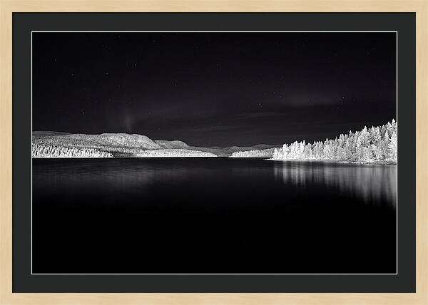 Northern Lights Over Tornetrask Lake